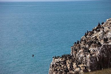 《星空》游戏新截图发布 野外强悍怪兽会袭击你